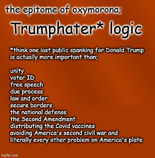 Trumphater logic | the epitome of oxymorona;; Trumphater* logic; *think one last public spanking for Donald Trump
is actually more important than;
 
unity
voter ID
free speech
due process
law and order
secure borders
the national defense
the Second Amendment
distributing the Covid vaccines
avoiding America's second civil war and
literally every other problem on America's plate | image tagged in politics | made w/ Imgflip meme maker