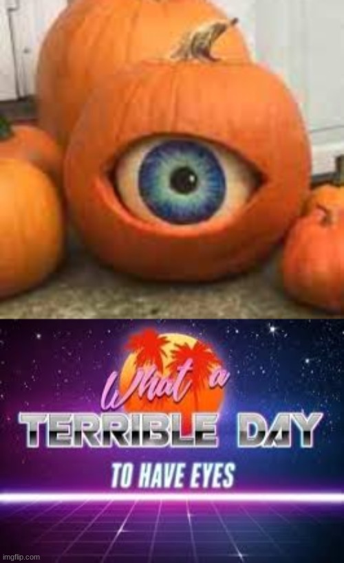 0_o | image tagged in what a terrible day to have eyes | made w/ Imgflip meme maker