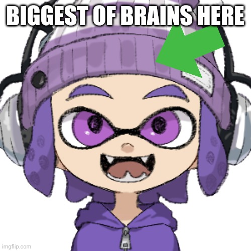 Bryce inkling | BIGGEST OF BRAINS HERE | image tagged in bryce inkling | made w/ Imgflip meme maker