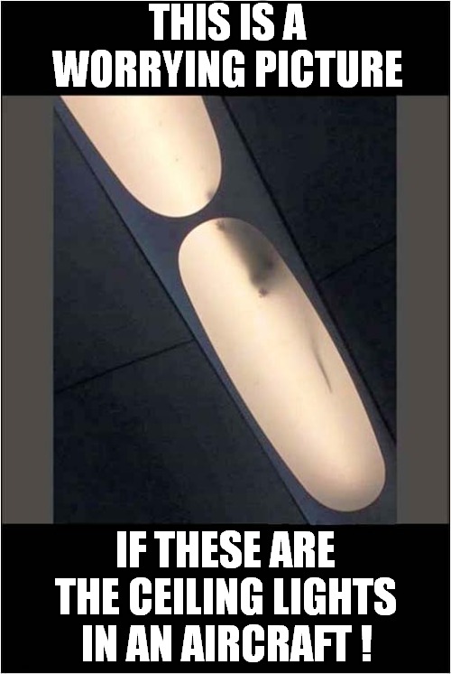 Rat On A Plane ? | THIS IS A WORRYING PICTURE; IF THESE ARE THE CEILING LIGHTS; IN AN AIRCRAFT ! | image tagged in fun,rats,aircraft | made w/ Imgflip meme maker