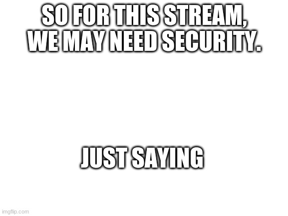 Good idea? | SO FOR THIS STREAM, WE MAY NEED SECURITY. JUST SAYING | image tagged in blank white template | made w/ Imgflip meme maker