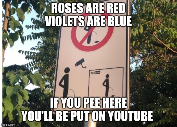 Dont do it | ROSES ARE RED
VIOLETS ARE BLUE; IF YOU PEE HERE YOU'LL BE PUT ON YOUTUBE | image tagged in funny memes,memes,fun | made w/ Imgflip meme maker