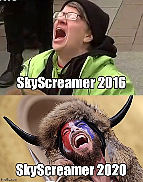 SkyScreamers, then & now | image tagged in skyscreamer 2016 vs 2020,election 2016,election 2020,memes about memes,memes about memeing,riots | made w/ Imgflip meme maker