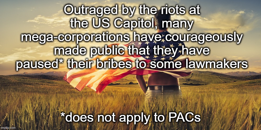 So brave | Outraged by the riots at the US Capitol, many mega-corporations have courageously made public that they have paused* their bribes to some lawmakers; *does not apply to PACs | image tagged in patriotic,capitol | made w/ Imgflip meme maker
