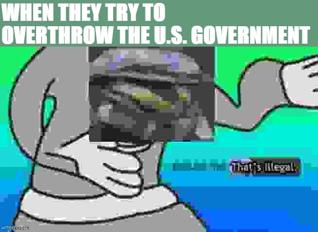just so everyone knows | WHEN THEY TRY TO OVERTHROW THE U.S. GOVERNMENT | image tagged in excuse me that's illegal,coup,republicans,wait that's illegal,excuse me what the heck,excuse me wtf | made w/ Imgflip meme maker