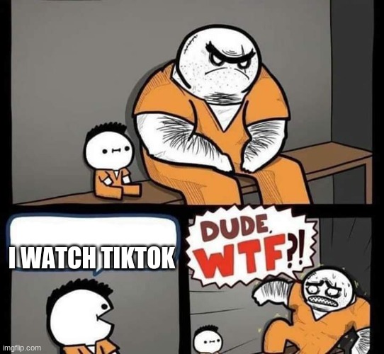 Dude wtf | I WATCH TIKTOK | image tagged in dude wtf | made w/ Imgflip meme maker