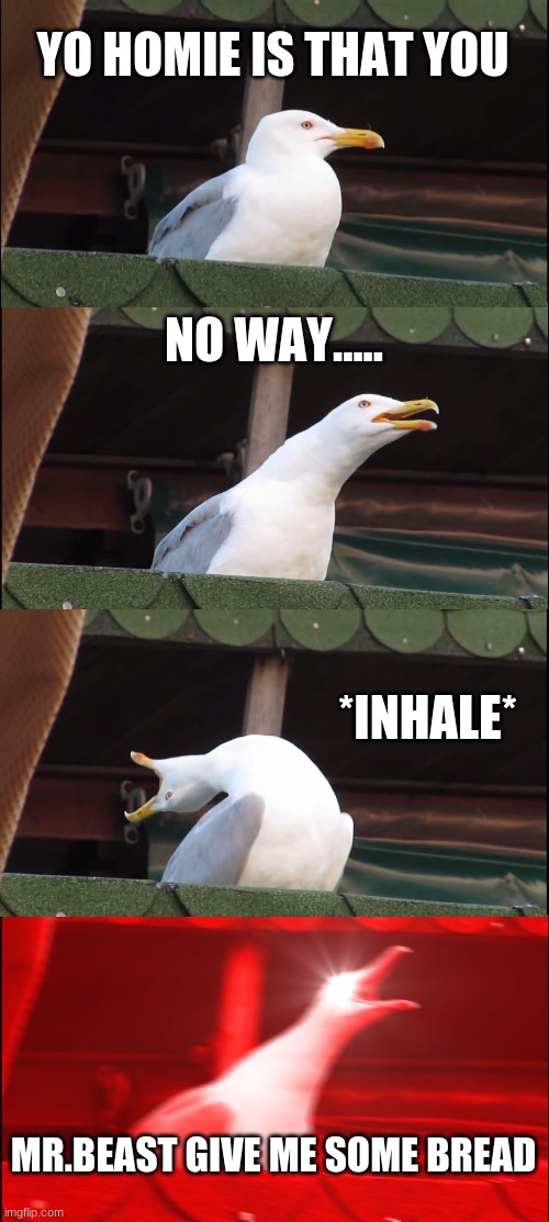 Inhaling Seagull Meme | YO HOMIE IS THAT YOU; NO WAY..... *INHALE*; MR.BEAST GIVE ME SOME BREAD | image tagged in memes,inhaling seagull | made w/ Imgflip meme maker