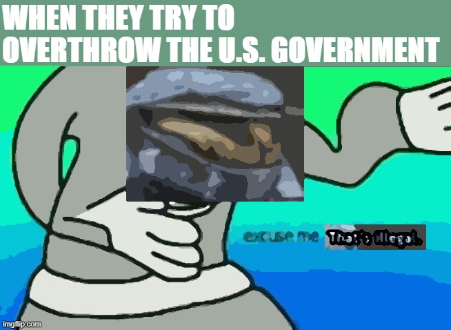 just a friendly reminder | WHEN THEY TRY TO OVERTHROW THE U.S. GOVERNMENT | image tagged in excuse me that's illegal,wait thats illegal,excuse me wtf,excuse me what the fuck,coup,traitors | made w/ Imgflip meme maker