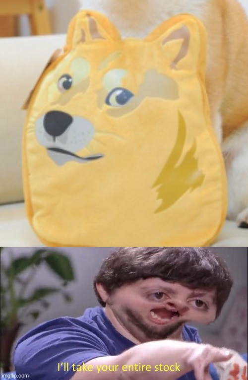 DOGE PILLOW | image tagged in i'll take your entire stock | made w/ Imgflip meme maker