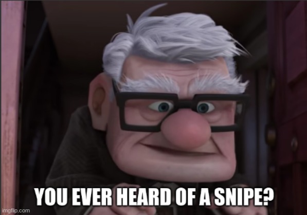 I made a new template for everyone to use. It's from the movie 'Up.' | image tagged in you ever heard of a snipe,new template | made w/ Imgflip meme maker