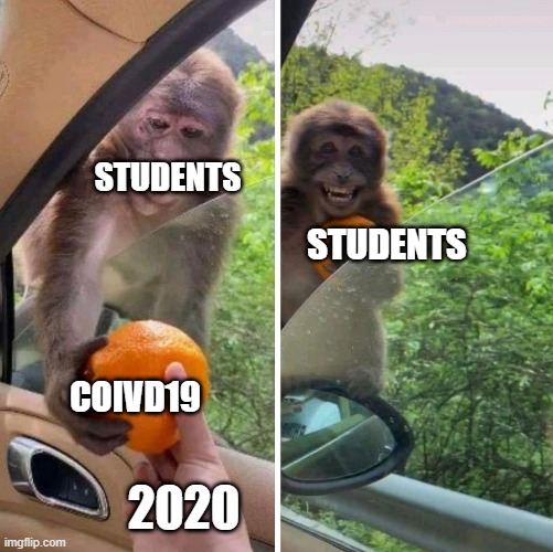 monkey getting an orange | STUDENTS; STUDENTS; COIVD19; 2020 | image tagged in monkey getting an orange | made w/ Imgflip meme maker