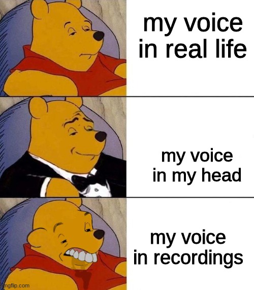 [insert funny title here} | my voice in real life; my voice in my head; my voice in recordings | image tagged in best better blurst,funny,memes,upvote if you agree | made w/ Imgflip meme maker