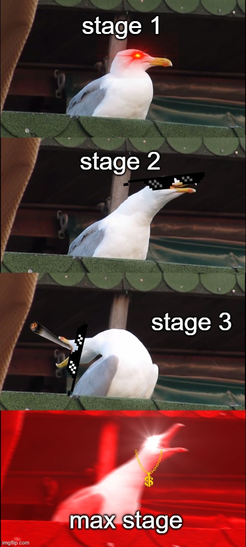 Inhaling Seagull | stage 1; stage 2; stage 3; max stage | image tagged in memes,inhaling seagull | made w/ Imgflip meme maker