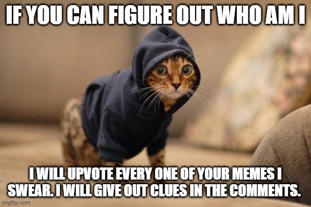 Hoody Cat Meme | IF YOU CAN FIGURE OUT WHO AM I; I WILL UPVOTE EVERY ONE OF YOUR MEMES I SWEAR. I WILL GIVE OUT CLUES IN THE COMMENTS. | image tagged in memes,hoody cat | made w/ Imgflip meme maker