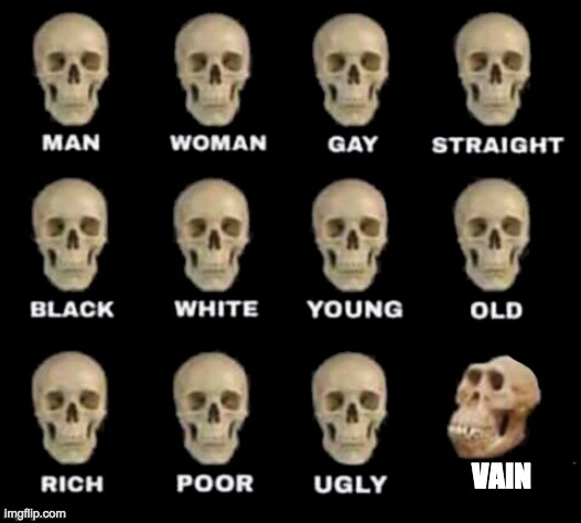 im so glad i dont run into vain people that much | VAIN | image tagged in idiot skull | made w/ Imgflip meme maker
