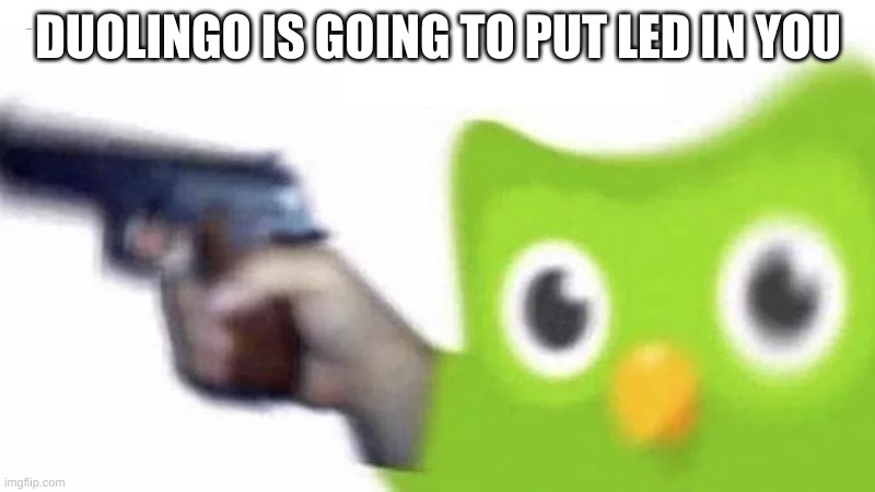duolingo gun | DUOLINGO IS GOING TO PUT LED IN YOU | image tagged in duolingo gun | made w/ Imgflip meme maker