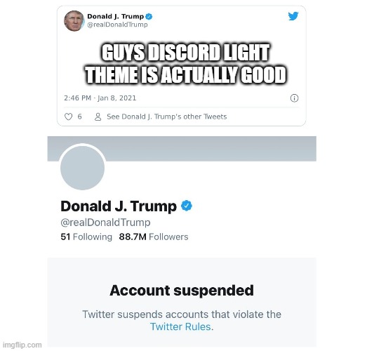 Trump Twitter Account Suspended | GUYS DISCORD LIGHT THEME IS ACTUALLY GOOD | image tagged in trump twitter account suspended | made w/ Imgflip meme maker
