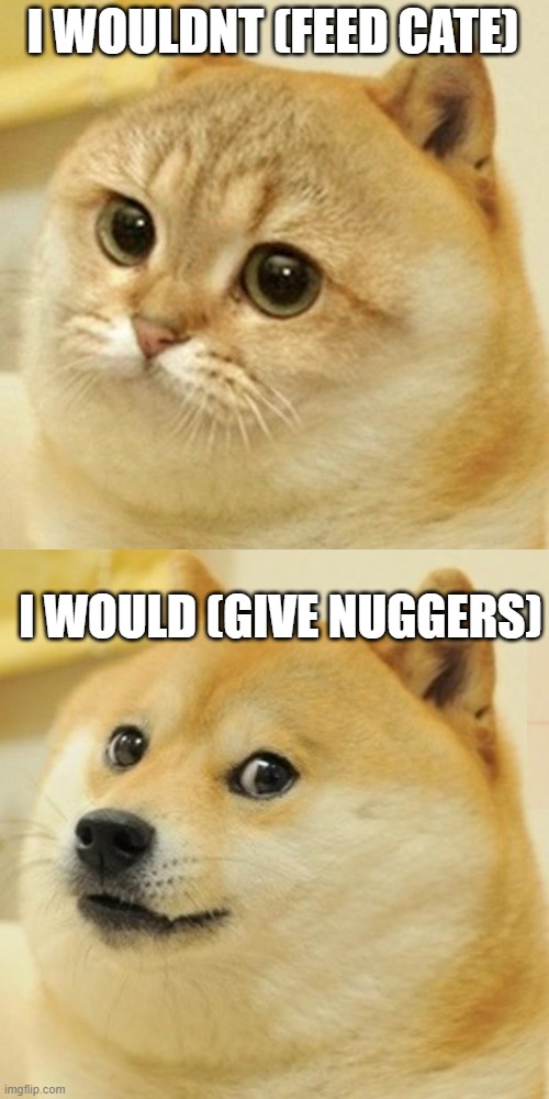 I WOULDNT (FEED CATE); I WOULD (GIVE NUGGERS) | image tagged in cat doge,memes,doge,weird | made w/ Imgflip meme maker