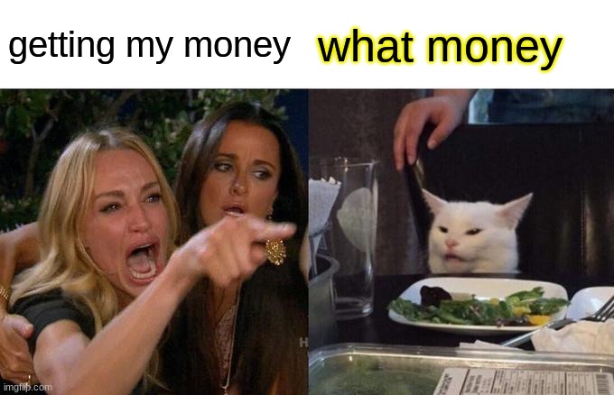 what money | getting my money; what money | image tagged in memes,woman yelling at cat | made w/ Imgflip meme maker