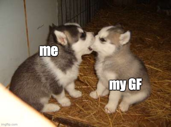 Cute Puppies Meme | me; my GF | image tagged in memes,cute puppies | made w/ Imgflip meme maker