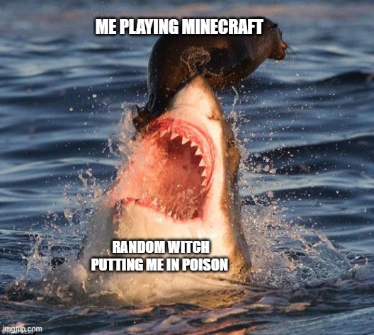 Travelonshark | ME PLAYING MINECRAFT; RANDOM WITCH PUTTING ME IN POISON | image tagged in memes,travelonshark | made w/ Imgflip meme maker