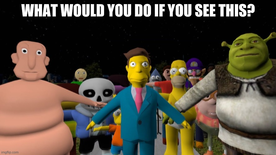 oh no | WHAT WOULD YOU DO IF YOU SEE THIS? | image tagged in memes,funny,t-pose,apocalypse | made w/ Imgflip meme maker