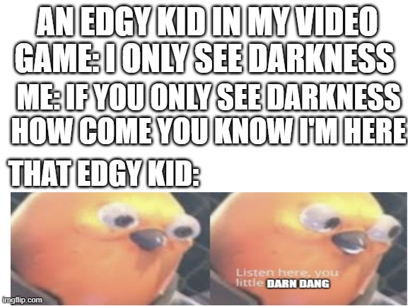 gaming birb | AN EDGY KID IN MY VIDEO GAME: I ONLY SEE DARKNESS; ME: IF YOU ONLY SEE DARKNESS HOW COME YOU KNOW I'M HERE; THAT EDGY KID: | image tagged in blank white template | made w/ Imgflip meme maker