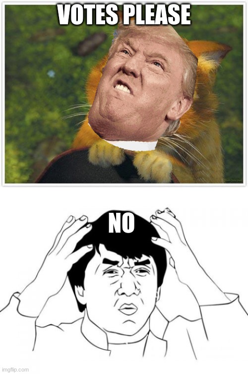 VOTES PLEASE; NO | image tagged in memes,shrek cat,jackie chan wtf | made w/ Imgflip meme maker