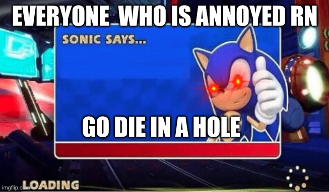 Sonic Says | EVERYONE  WHO IS ANNOYED RN; GO DIE IN A HOLE | image tagged in sonic says | made w/ Imgflip meme maker