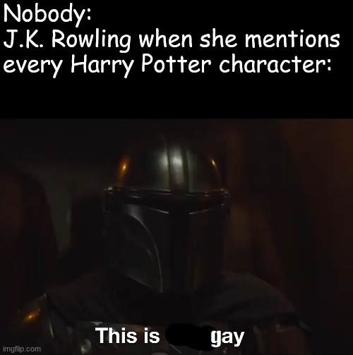 just stick with your story, lady | Nobody: 
J.K. Rowling when she mentions every Harry Potter character:; g | image tagged in this is the way | made w/ Imgflip meme maker