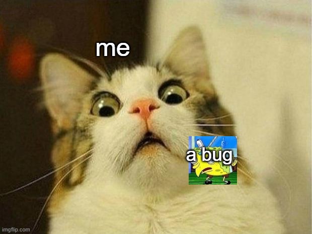 Scared Cat Meme | me; a bug | image tagged in memes,scared cat | made w/ Imgflip meme maker