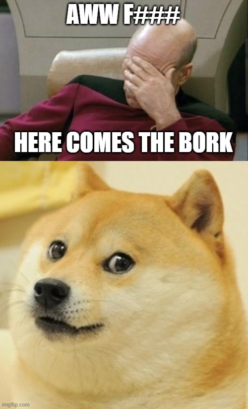 here comes the bork (borg) |  AWW F###; HERE COMES THE BORK | image tagged in memes,captain picard facepalm,doge,star trek | made w/ Imgflip meme maker