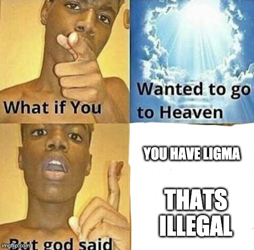 what is the legmy | YOU HAVE LIGMA; THATS ILLEGAL | image tagged in what if you wanted to go to heaven | made w/ Imgflip meme maker