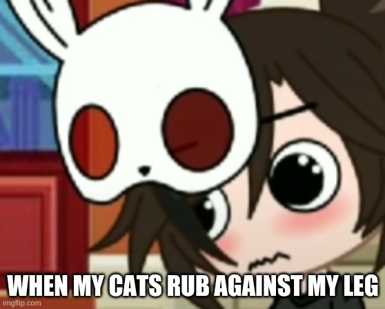 WHEN MY CATS RUB AGAINST MY LEG | made w/ Imgflip meme maker