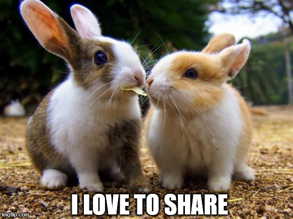 I LOVE TO SHARE | image tagged in bunnies | made w/ Imgflip meme maker