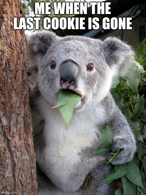 Surprised Koala Meme | ME WHEN THE LAST COOKIE IS GONE | image tagged in memes,surprised koala,cookies | made w/ Imgflip meme maker