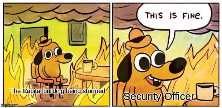 This Is Fine Meme | Security Officer; The Capital building being stormed | image tagged in memes,this is fine | made w/ Imgflip meme maker