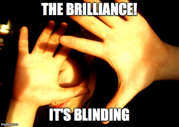 Too Bright | THE BRILLIANCE! IT'S BLINDING | image tagged in too bright | made w/ Imgflip meme maker