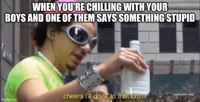 When You're Too Drunk To Think | WHEN YOU'RE CHILLING WITH YOUR BOYS AND ONE OF THEM SAYS SOMETHING STUPID | image tagged in cheers ill drink to that bro | made w/ Imgflip meme maker