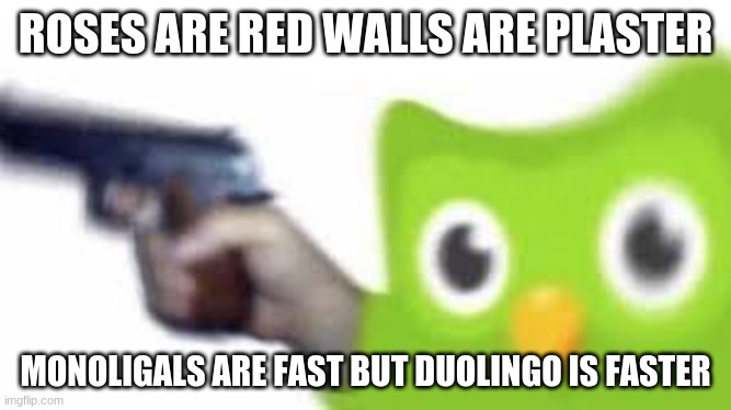 RUN MONOLNGALS RUN | ROSES ARE RED WALLS ARE PLASTER; MONOLIGALS ARE FAST BUT DUOLINGO IS FASTER | image tagged in memes | made w/ Imgflip meme maker
