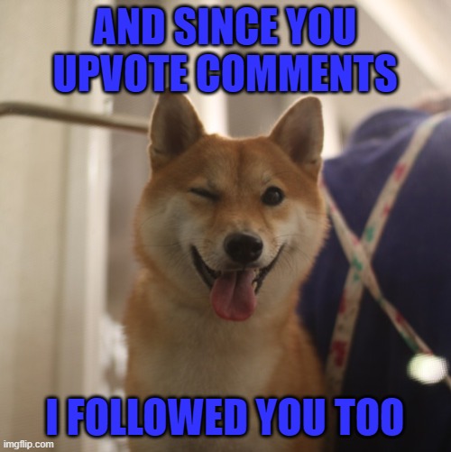 AND SINCE YOU UPVOTE COMMENTS I FOLLOWED YOU TOO | made w/ Imgflip meme maker