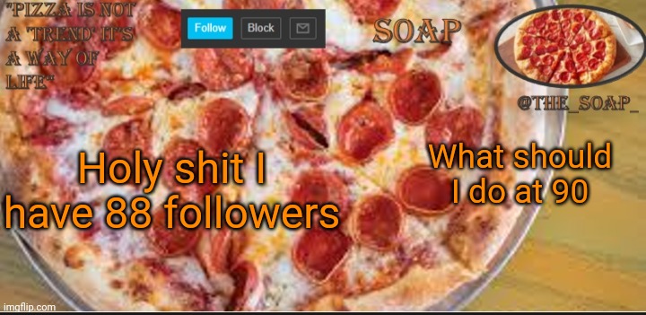 How did I get so many | Holy shit I have 88 followers; What should I do at 90 | image tagged in soaps pizza template | made w/ Imgflip meme maker