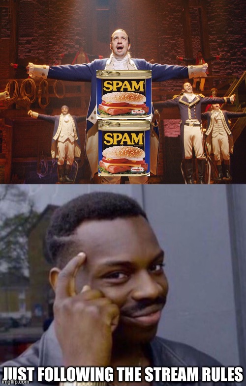 Spam Hamilton!!! :D | JUST FOLLOWING THE STREAM RULES | image tagged in hamilton,funny,imgflip,musicals,spam,roll safe think about it | made w/ Imgflip meme maker