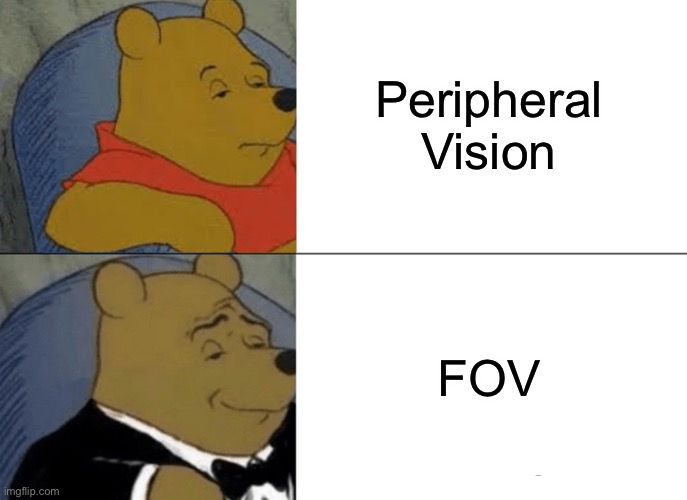 ㅤ | Peripheral Vision; FOV | image tagged in memes,tuxedo winnie the pooh | made w/ Imgflip meme maker