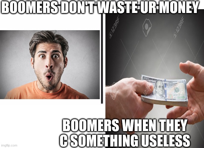 BOOMERS DON'T WASTE UR MONEY; BOOMERS WHEN THEY C SOMETHING USELESS | image tagged in shut up and take my money fry | made w/ Imgflip meme maker