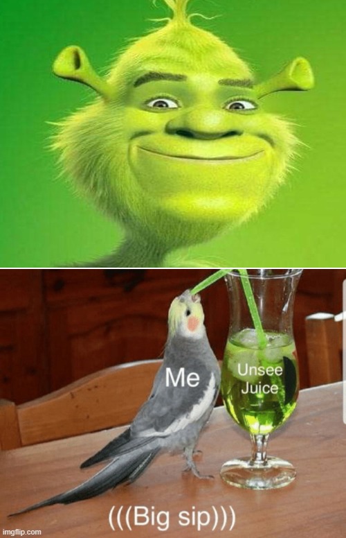 Cursed Image: Shrek + Grinch = ????? | image tagged in unsee juice,shrek,grinch,memes,grinch and shrek | made w/ Imgflip meme maker