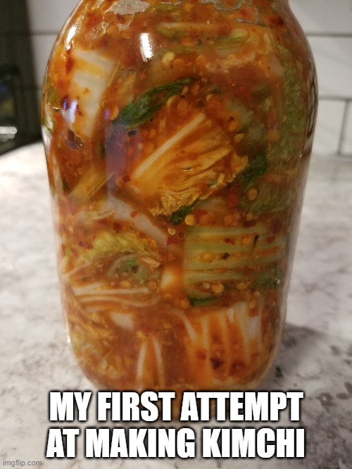 Does anyone else like this? Anyone made it before? Turned out pretty good! | MY FIRST ATTEMPT AT MAKING KIMCHI | image tagged in kimchi,thparkys kitchen | made w/ Imgflip meme maker