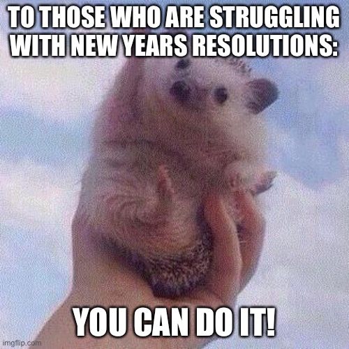 Never ever ever ever ever give up | TO THOSE WHO ARE STRUGGLING WITH NEW YEARS RESOLUTIONS:; YOU CAN DO IT! | image tagged in encouraging hedgehog,memes,funny,never give up,encouragement,new years resolutions | made w/ Imgflip meme maker