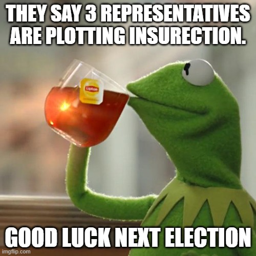 Coruption | THEY SAY 3 REPRESENTATIVES ARE PLOTTING INSURECTION. GOOD LUCK NEXT ELECTION | image tagged in kermit the frog | made w/ Imgflip meme maker