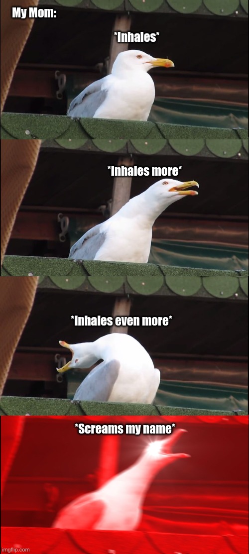 Inhaling Seagull | My Mom:; *Inhales*; *Inhales more*; *Inhales even more*; *Screams my name* | image tagged in memes,inhaling seagull | made w/ Imgflip meme maker
